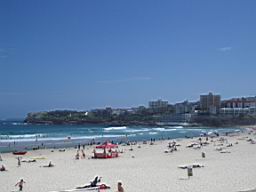 IMGP0676.JPG